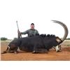 Image 3 : 10-day Mozambique Sable and Plains Game Hunt for Two Hunters