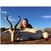 Image 2 : 10-day South Africa Plains Game Hunt for One Hunter and One Observer