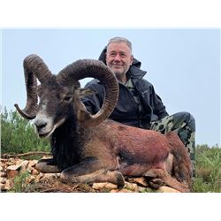 5-day Spain Iberian Mouflon Hunt for One Hunter and One Observer