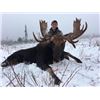 Image 1 : 8-day British Columbia Shiras Moose, Cougar, Bobcat and Lynx Hunt for One Hunter