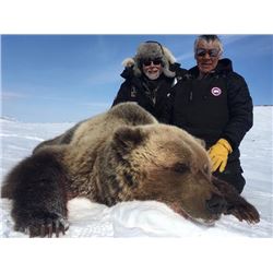 10-day CITES Exportable Barren-Ground Grizzly Bear Hunt in Nunavut Territory, Canada for One Hunter