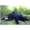Image 2 : 6-day Luxury Yacht Alaska Black Bear Hunt, Swarovski Optics, Stone Glacier Gear and Ruger Firearm Pa