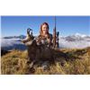 Image 3 : 6-day New Zealand Gold-Medal Red Deer, Tahr and Chamois Hunt for Four Hunters