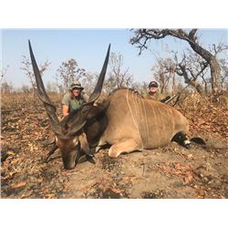 13-day Cameroon Lord Derby Eland, Buffalo and Antelope Hunt for One Hunter and One Observer