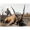 Image 2 : 13-day Cameroon Lord Derby Eland, Buffalo and Antelope Hunt for One Hunter and One Observer
