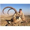 Image 1 : 3-day Pakistan Sindh Ibex Hunt Up To 39 Inches for One Hunter