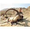 Image 2 : 3-day Pakistan Sindh Ibex Hunt Up To 39 Inches for One Hunter