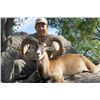 Image 3 : 4-day Texas Armenian Mouflon, Aoudad and Iranian Red Sheep Hunt for Two Hunters