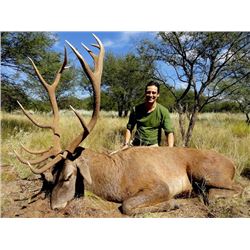 7-day Argentina Big Game Safari and Wing Shooting with Filming from Universal Huntress TV for One Hu