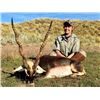 Image 2 : 7-day Argentina Big Game Safari and Wing Shooting with Filming from Universal Huntress TV for One Hu