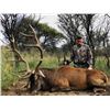 Image 3 : 7-day Argentina Big Game Safari and Wing Shooting with Filming from Universal Huntress TV for One Hu