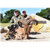 Image 4 : 5-day/4-night Texas Exotics Archery Hunt with Tom Miranda for One Hunter