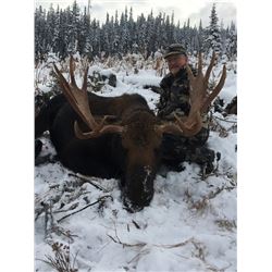 7-day British Columbia Shiras Moose Hunt for One Hunter