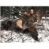 Image 3 : 7-day British Columbia Shiras Moose Hunt for One Hunter