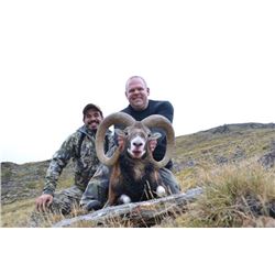 5-day Spain Free-Range Iberian Mouflon for Two Hunters and Two Observers