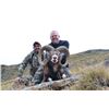 Image 1 : 5-day Spain Free-Range Iberian Mouflon for Two Hunters and Two Observers