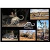 Image 1 : 7-day Mozambique Nile Crocodile and Cape Buffalo Hunt for One Hunter and One Observer