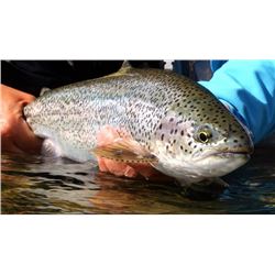 7-day British Columbia Lodge-Based Fly Fishing Trip for Two Anglers