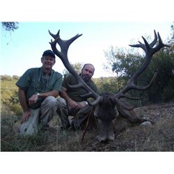 5-day Spain Red Deer or Roe Deer Hunt for Two Hunters