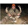 Image 1 : 6-day Kansas Free-range Midwestern White-Tailed Deer Hunt for Two Hunters
