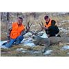 Image 1 : 6-day Montana Trophy Mule Deer Hunt for One Hunter