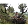 Image 2 : 5-day New Zealand Red Deer Hunt up to 390 SCI for One Hunter and One Observer