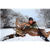 Image 1 : 4-day Northeastern White-tailed Deer Hunt for One Hunter and One Observer
