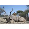 Image 2 : 7-day South Africa Plains Game Hunt with Melanie Peterson for Two Hunters