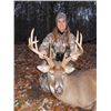 Image 1 : 4-day Michigan Northeastern White-tailed Hunt for One Hunter and One Observer