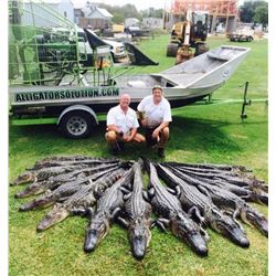 2-day/1-night Louisiana Alligator Hunt and Charter Fishing for One Hunter and One Observer