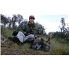 Image 1 : 5-day Spanish European Roe Deer Hunt & Bullfight in Private VIP Box for One Hunter and One Observer