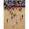 Image 3 : 5-day Spanish European Roe Deer Hunt & Bullfight in Private VIP Box for One Hunter and One Observer