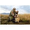 Image 1 : 4-day Nevada or Utah Pronghorn Hunt for One Hunter
