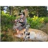 Image 2 : 5-day New Zealand Fallow Deer Hunt for Two Hunters