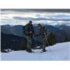 Image 2 : 5-day Spain Free-Range Iberian Mouflon for One Hunter and One Observer