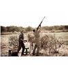 Image 2 : 5 Day Argentina Dove Hunt for Eight Shooters