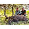 Image 2 : 5 Day/4 Night Texas Exotics Hunt for Two Hunters and Two Observers