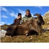 Image 3 : 5-day New Zealand Hunt for Four Hunters