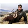 Image 8 : 5-day New Zealand Hunt for Four Hunters