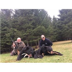7-Day Black Bear Hunt Canada