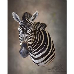 $1,500 Credit with Nature's Best Wildlife Artistry #1