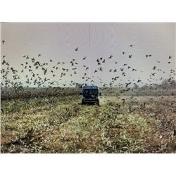 3 Days/3 Nights  6 Hunts-Argentina Dove Hunt for 2 Hunters