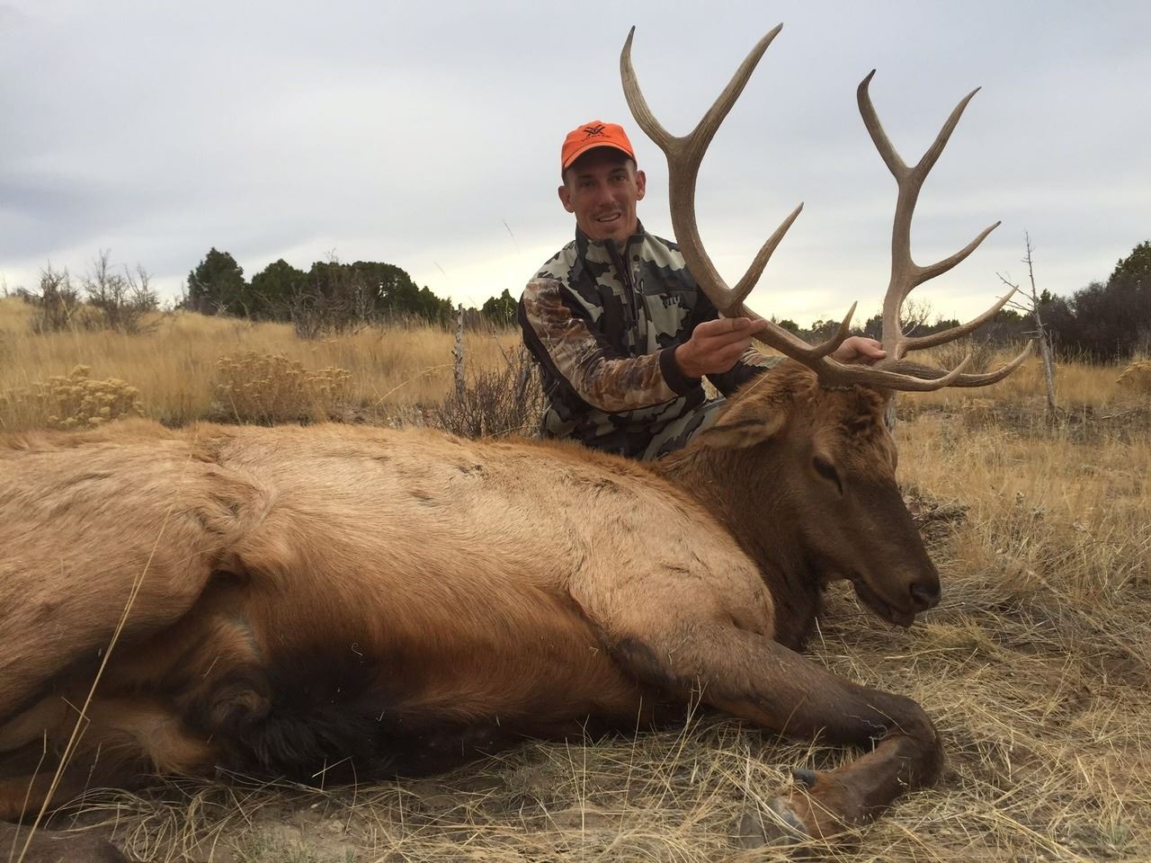 Elk hunt Colorado 1