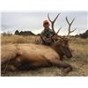Image 1 : Elk hunt  Colorado #1