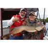 Image 1 : 1 Full Day Fishing Trip on Lake Ontario w/Bill Saiff III #2