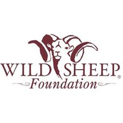 Wild Sheep Foundation Life Memebership