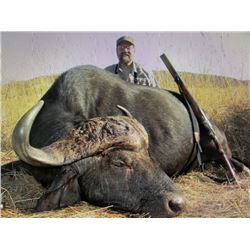 Buffalo, Sable & Nyala