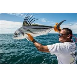 Crocodile Bay Resort-Epic Fishing & Rainforest Adventure