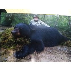 Black Bear Hunt