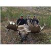 Image 5 : Choose 1 Fabulous Alaskan Hunt from 2 Options - Caribou or Mountain Goat